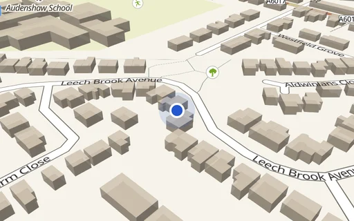 Location map: Driveway on Leechbrook Avenue