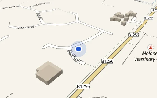 Location map: Driveway on Gorefeld