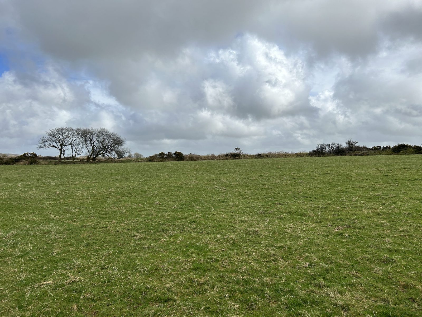 58.49 Acres Of Grassland Near Maenclochog, Clynderwen