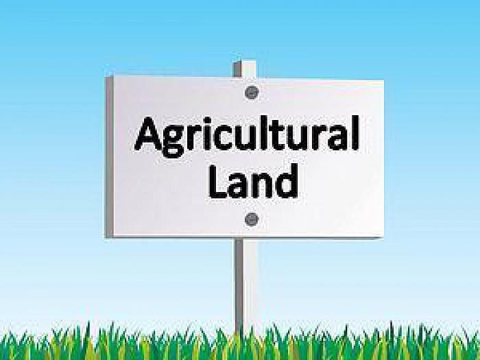 Agricultural Lands Adjacent to, 33 Cardy Road, Carrowdore BT22 2EU