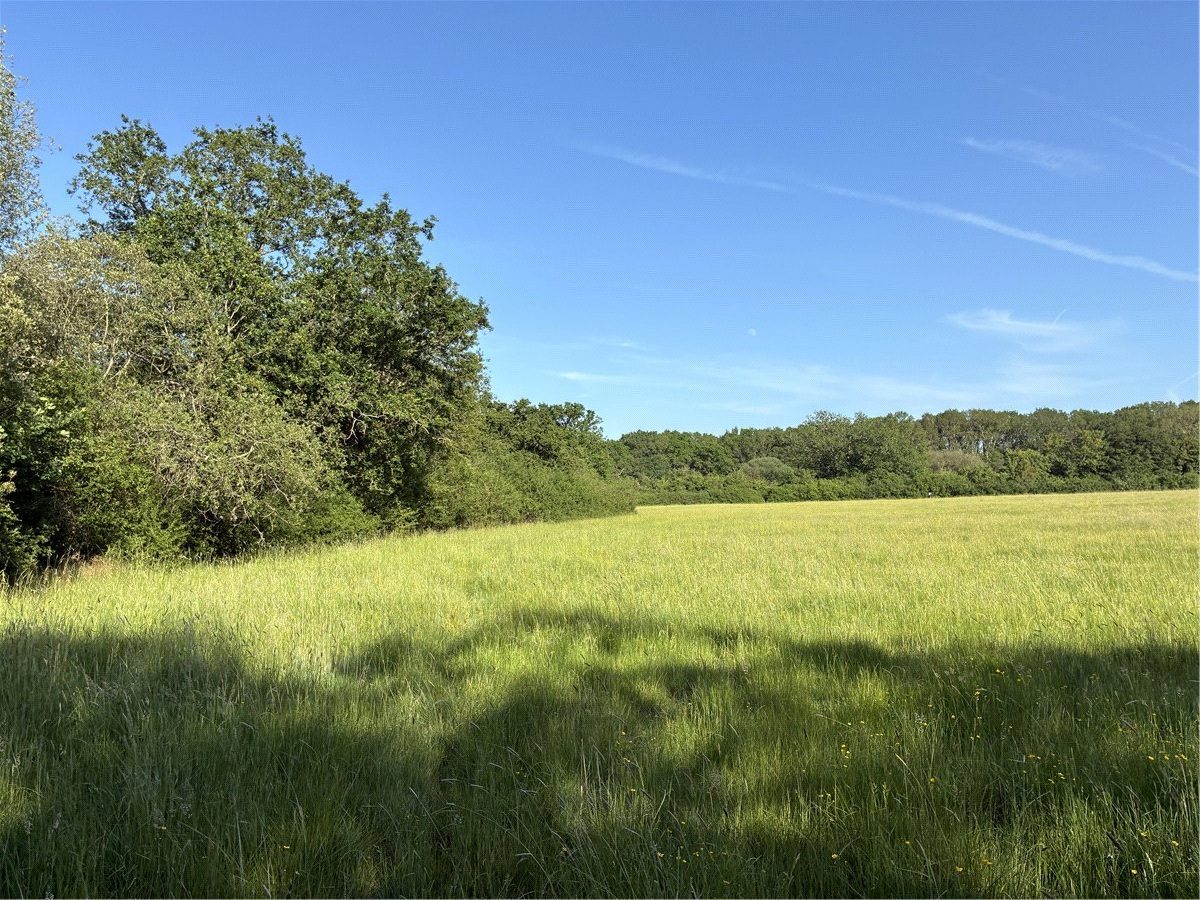 Land At Dunmore Farm