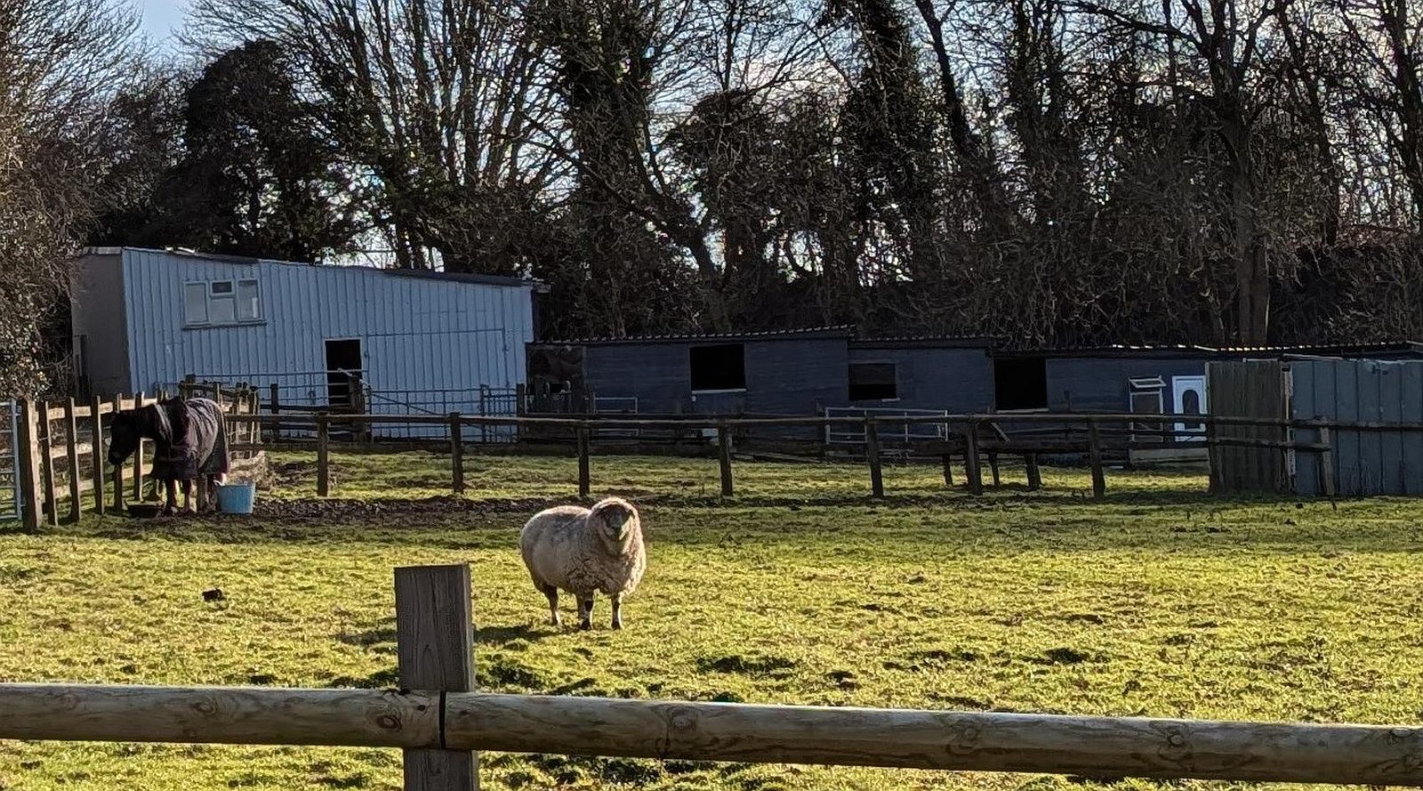 Smallholding with outbuildings in Ilkeston DERBYSHIRE