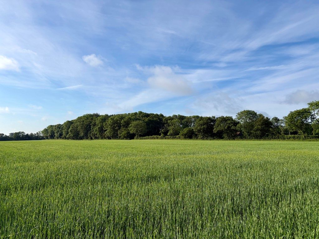 Land for sale in Wissett