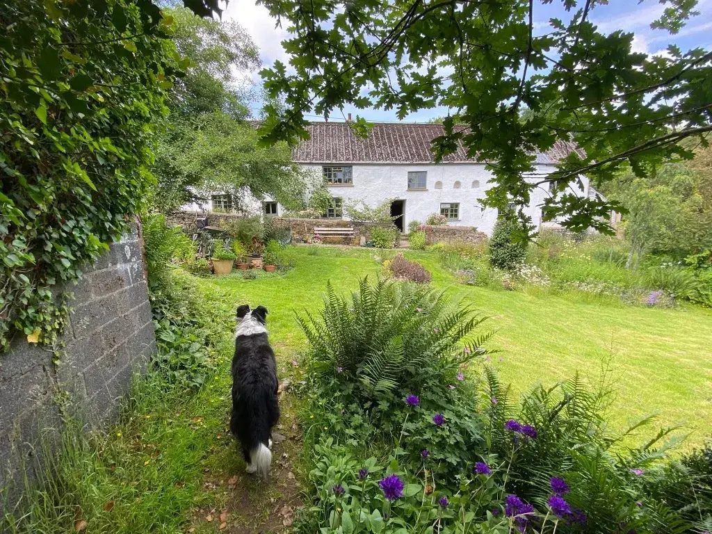 18-acre Equestrian Property in Thelbridge: period equestrian