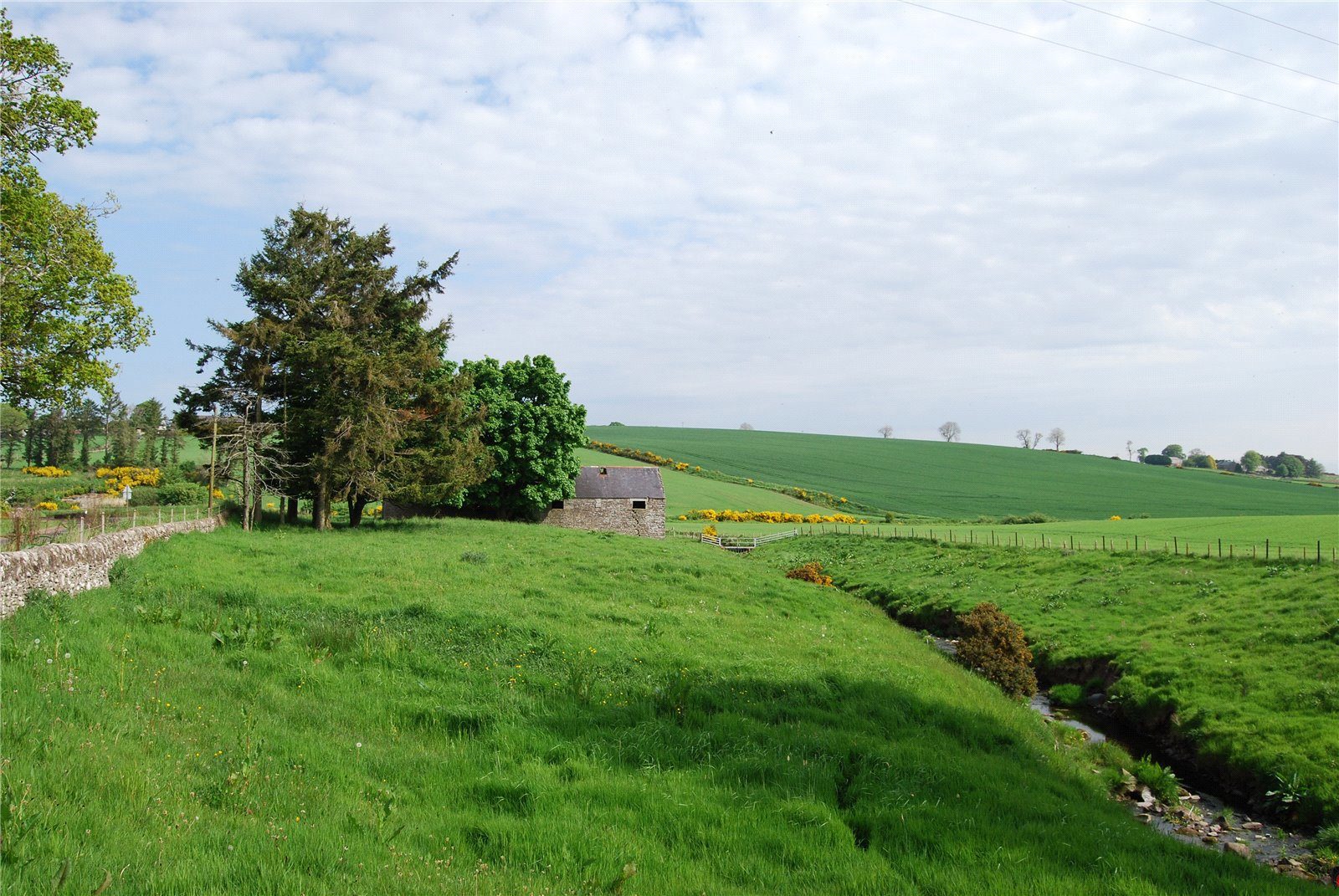 Plot At Craichie Mill