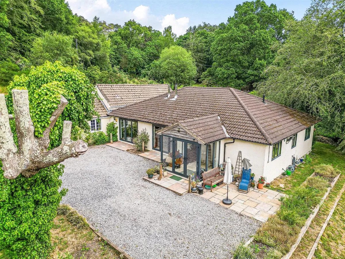 Equestrian with outbuildings in New Forest near Ringwood