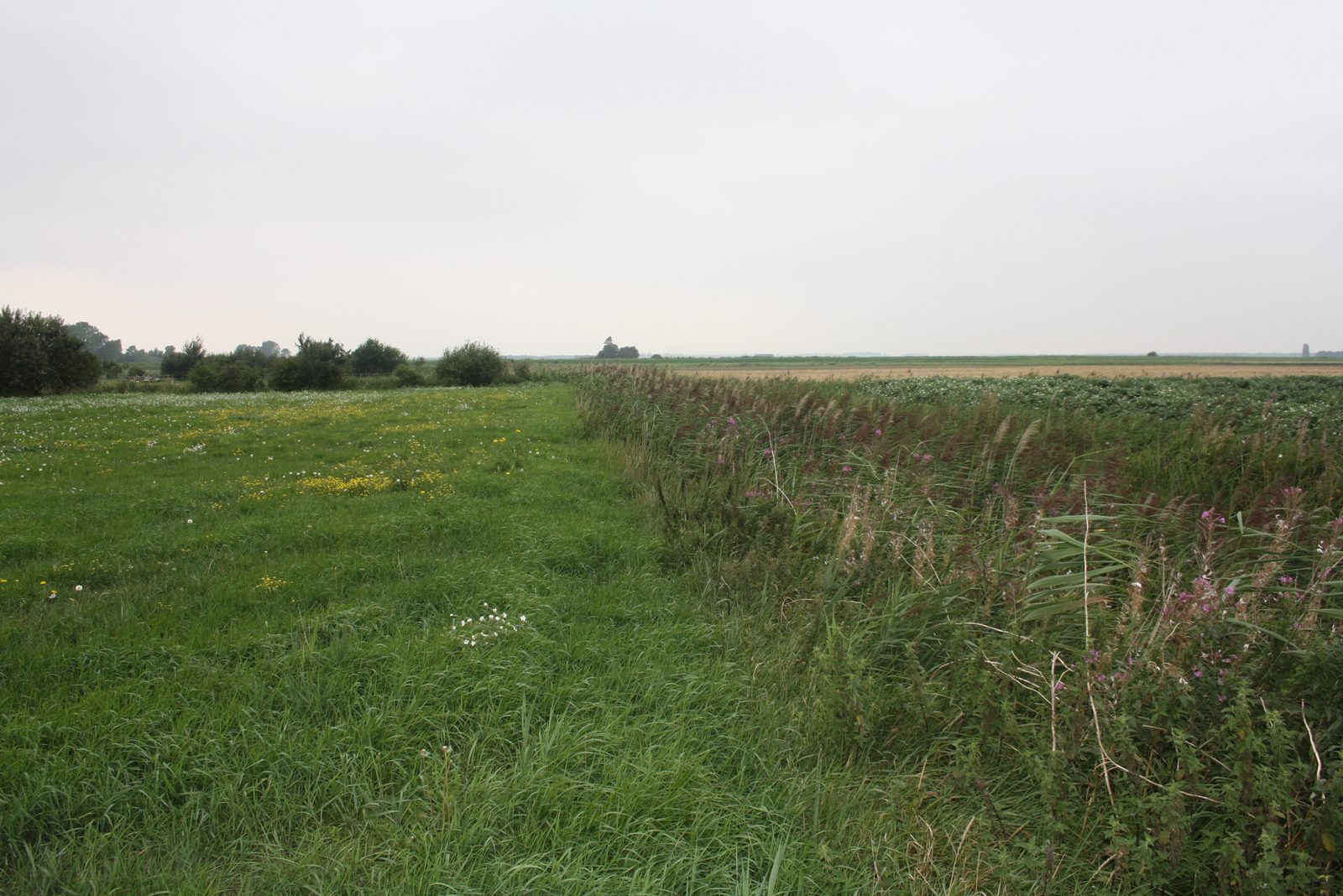 Cambridgeshire