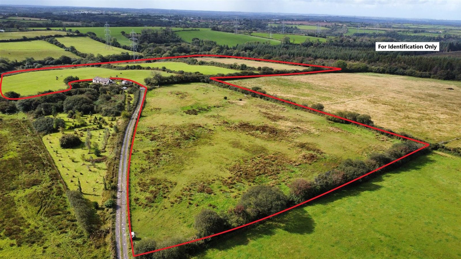 Narberth: land with paddocks