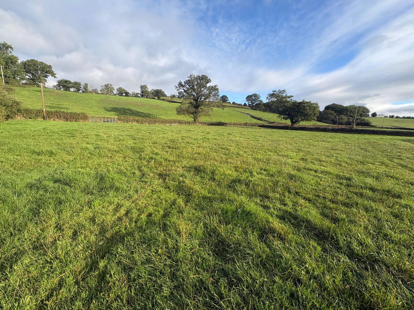 Penybanc, Llandeilo