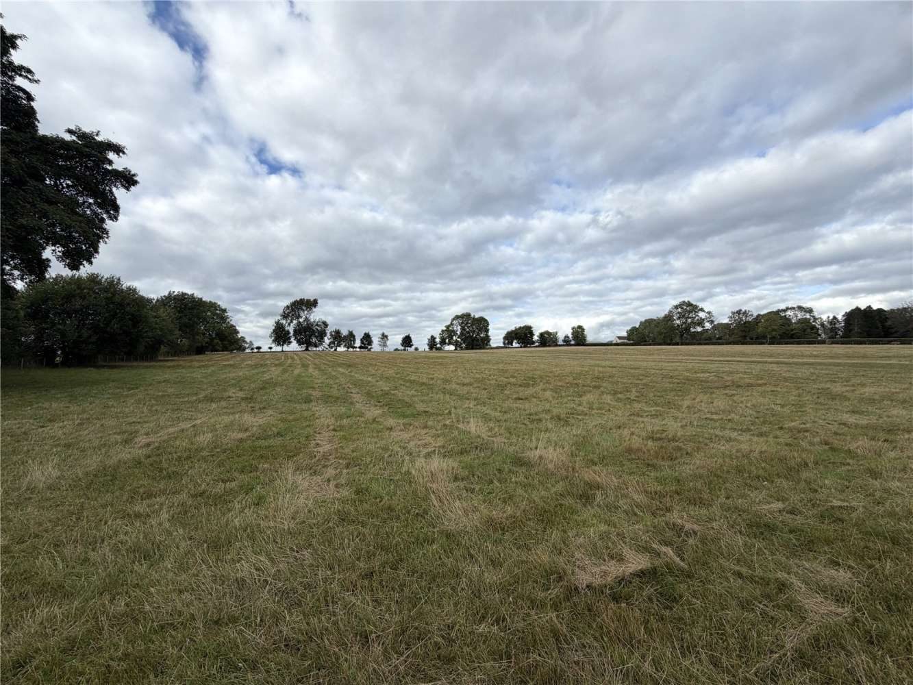Land with paddocks in Bishop Auckland