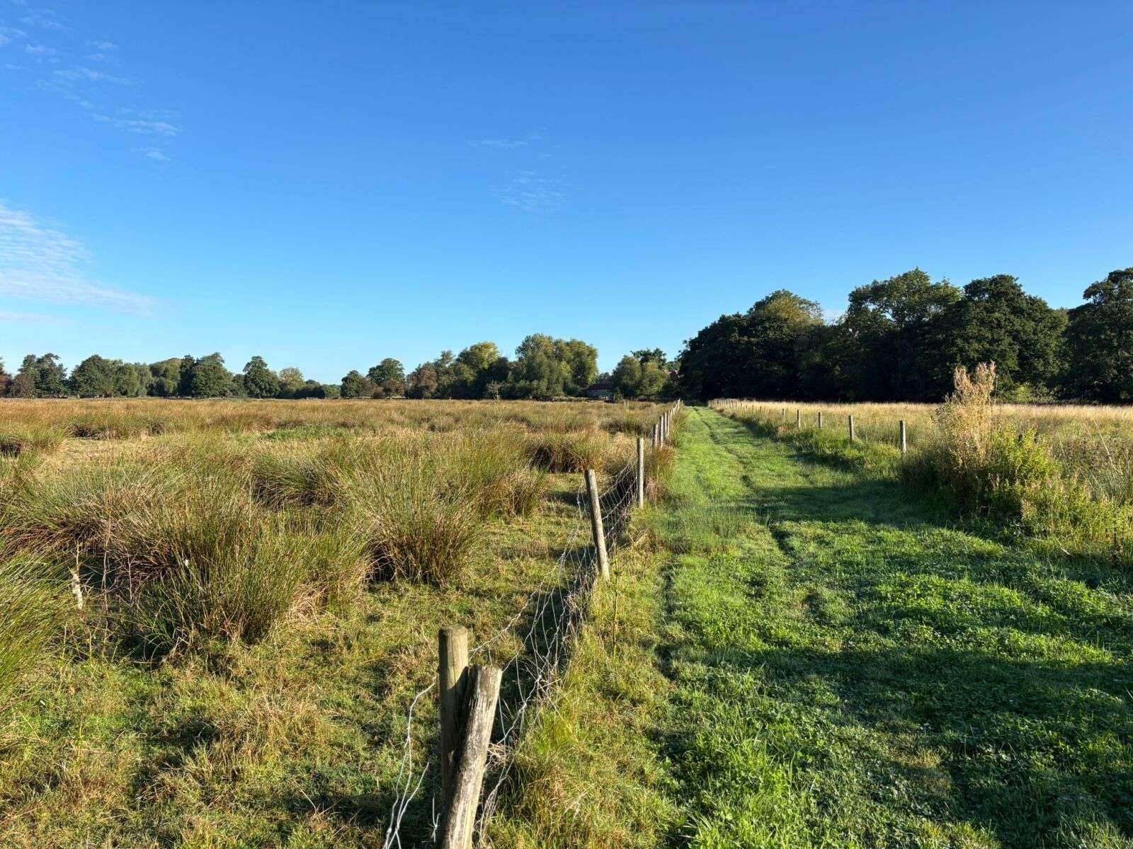 Land with paddocks, Nottingham