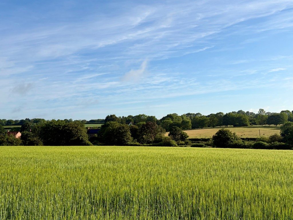Land for sale in Wissett