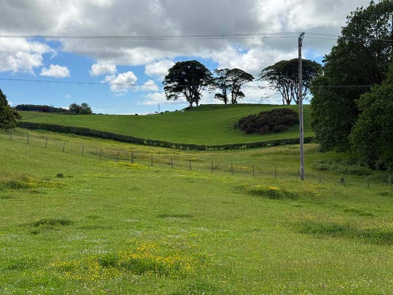 Carseholm