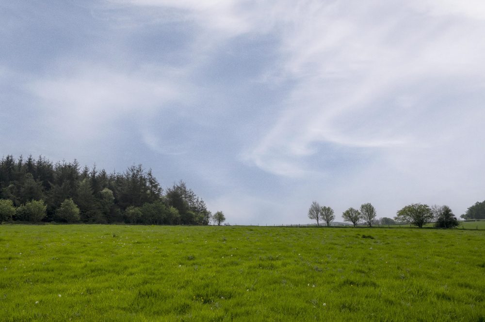 Hill View Meadow