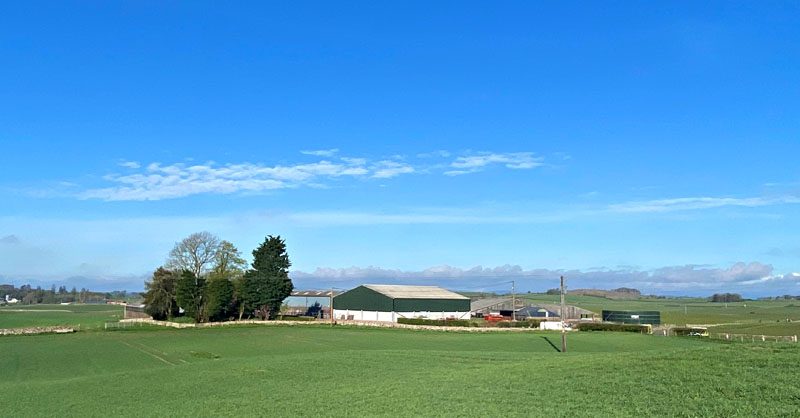 Blackerne Farm