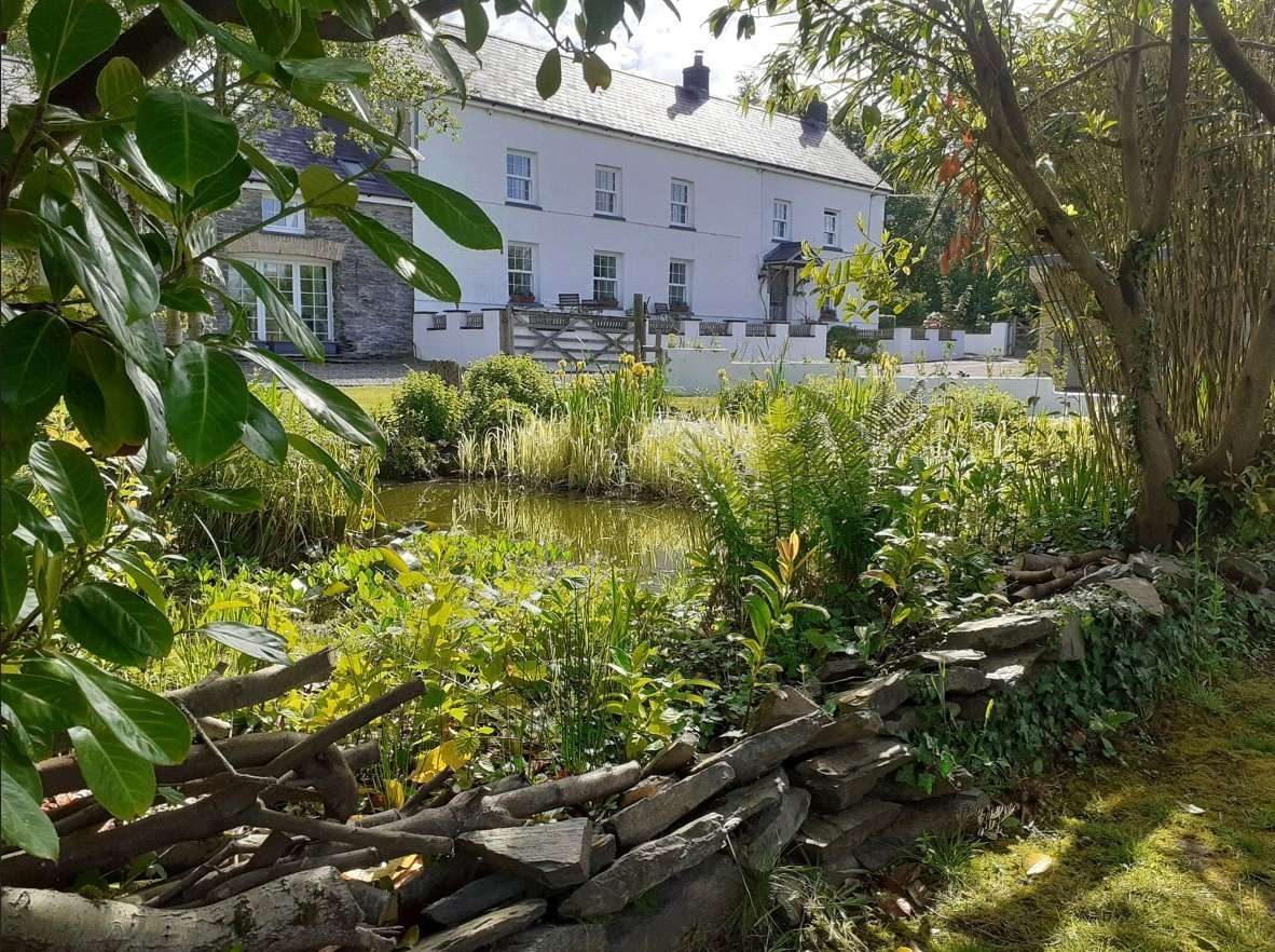 Newcastle Emlyn: farmhouse with paddocks