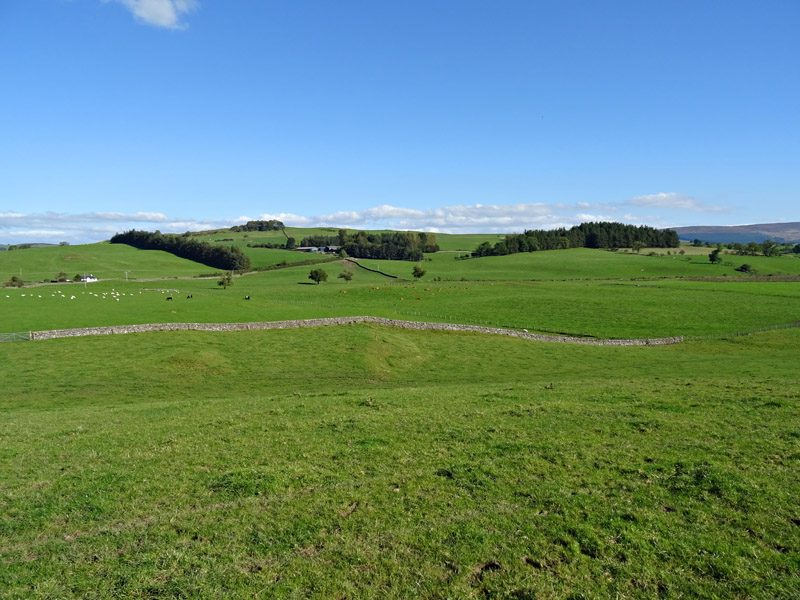 Cowar Farm