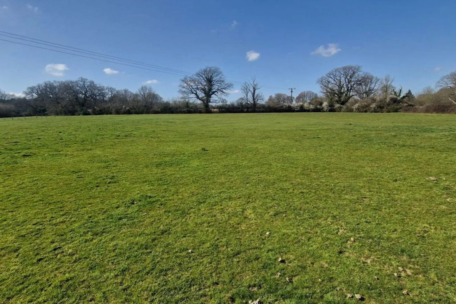 Farm with paddocks in nr. Pulborough