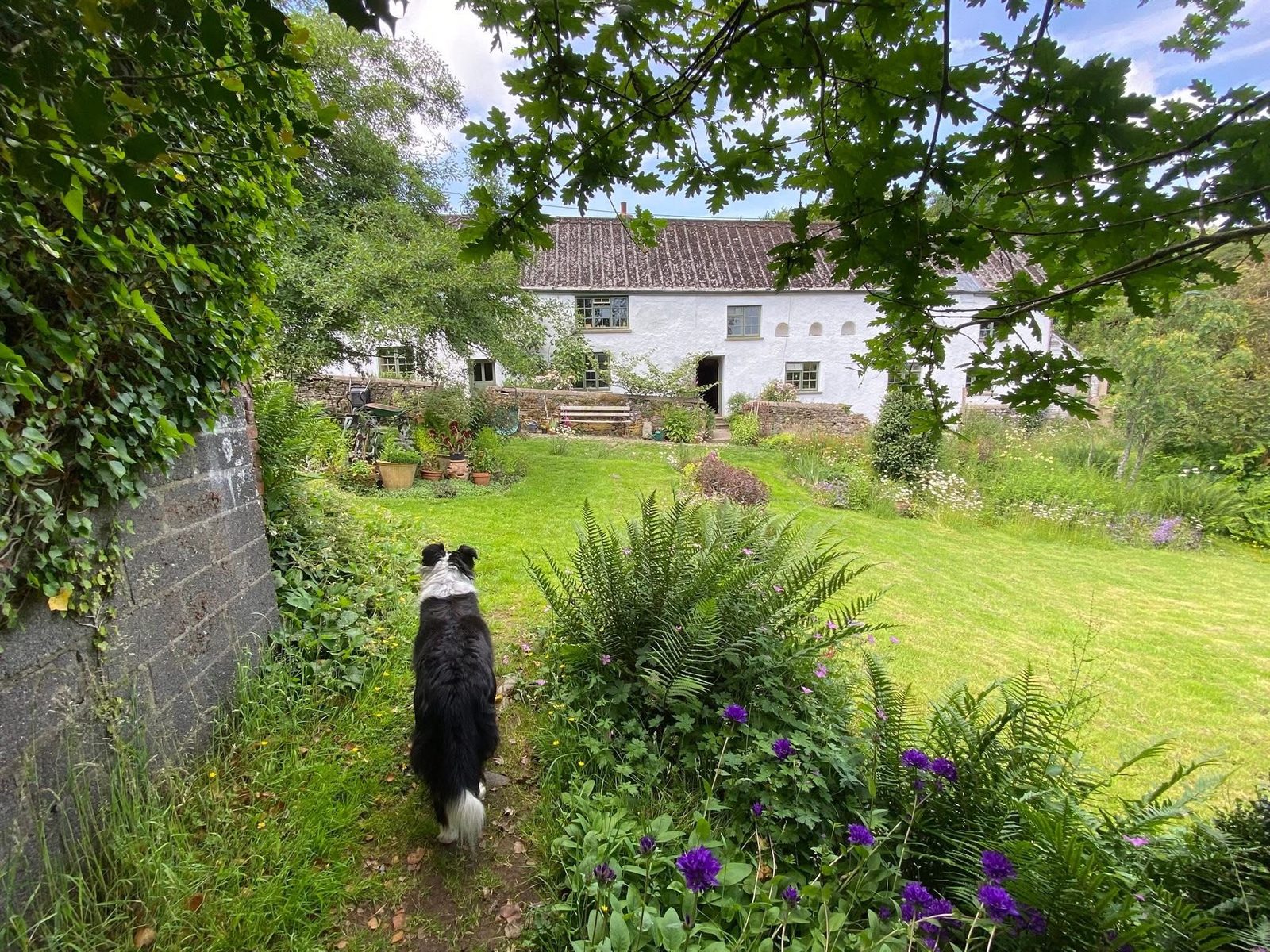 Lewdon Farm