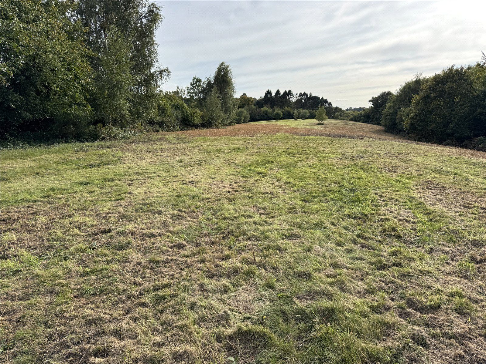 Swing Gate Hill, Burwash Common