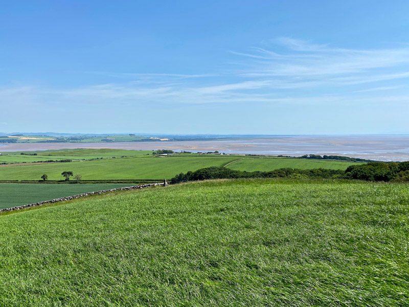 North Corbelly Farm