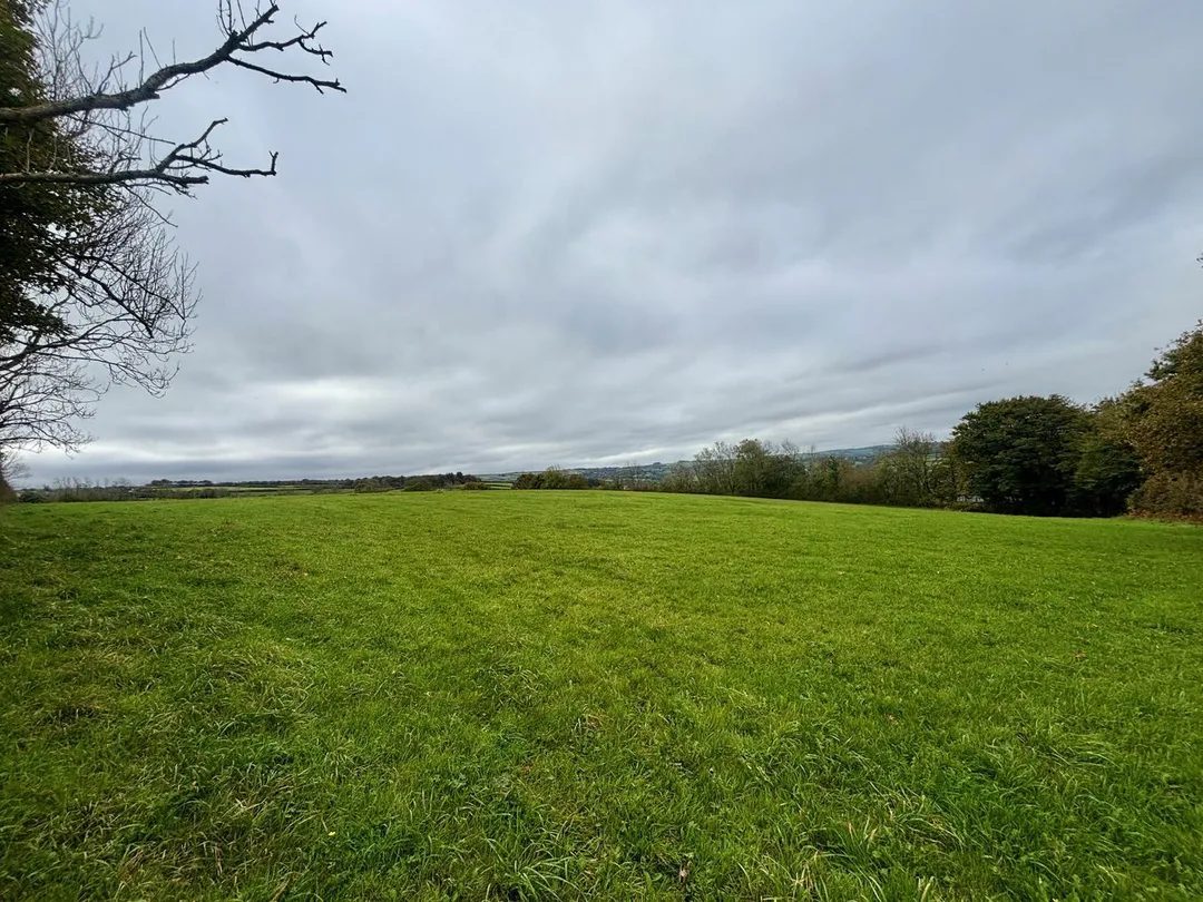 Land with paddocks, Llandysul