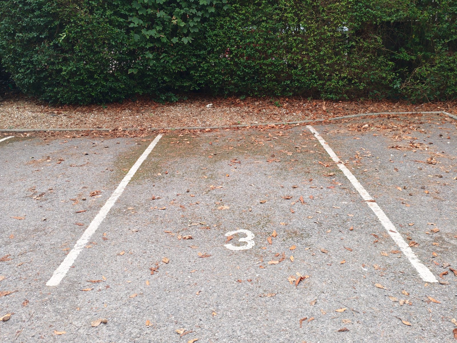 Allocated Space on Cavendish Road