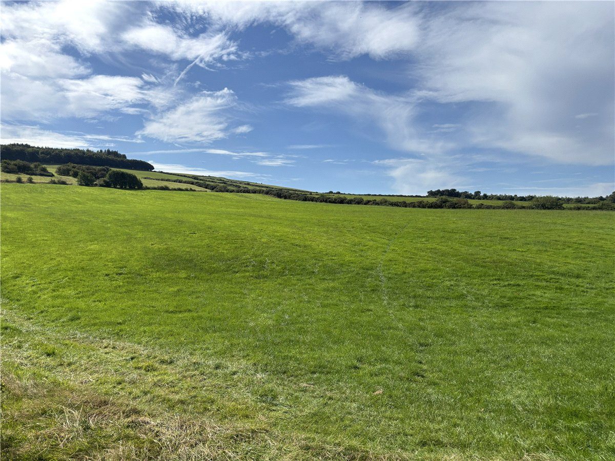 Farm for sale