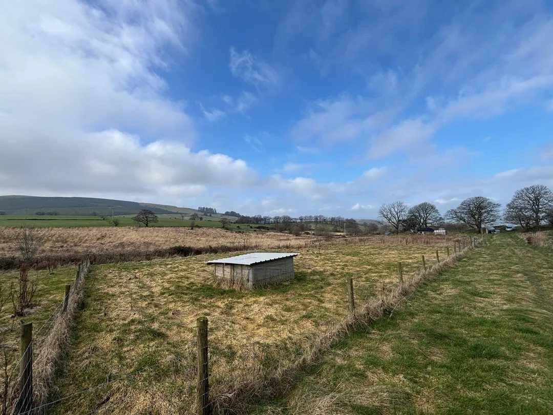 Lampeter: chain free land