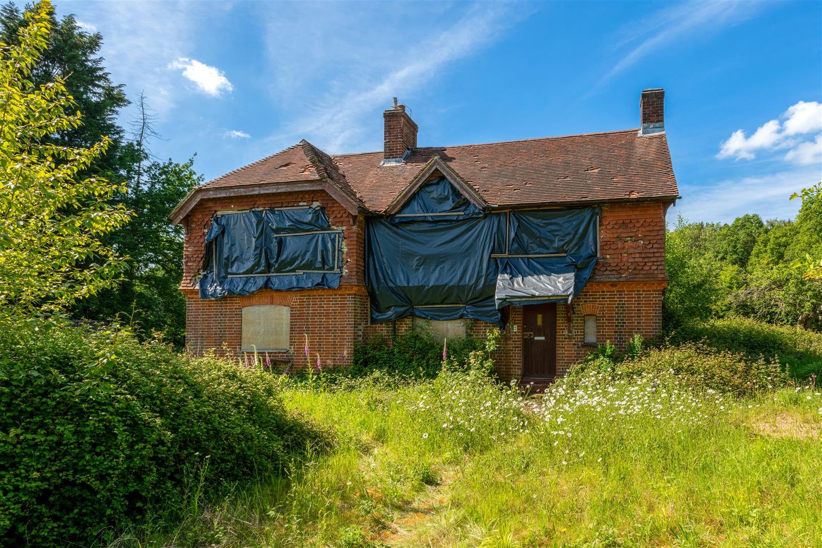 House with paddocks in Petersfield