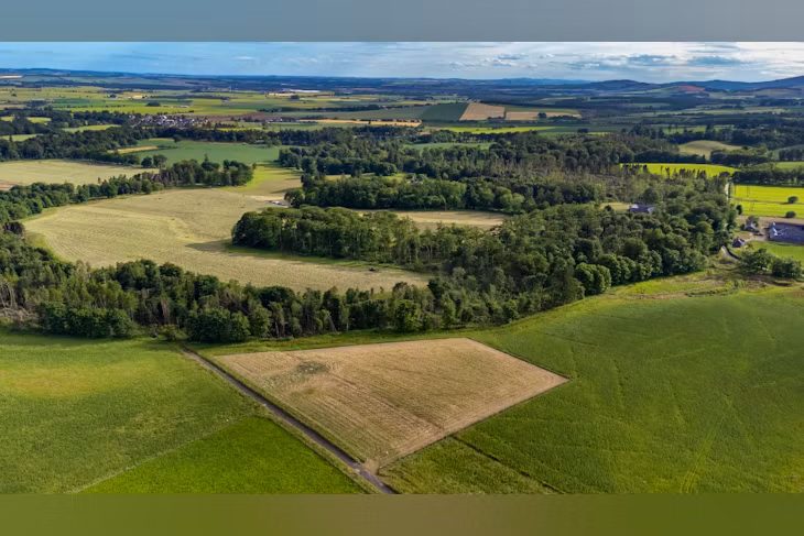 Rowan Plot 6 Fasque Estate