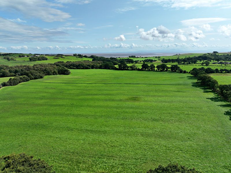 Land At Landis Farm
