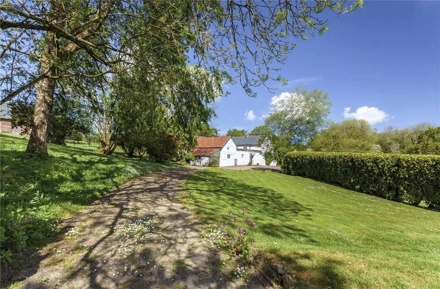 Equestrian with no near neighbours in Bideford
