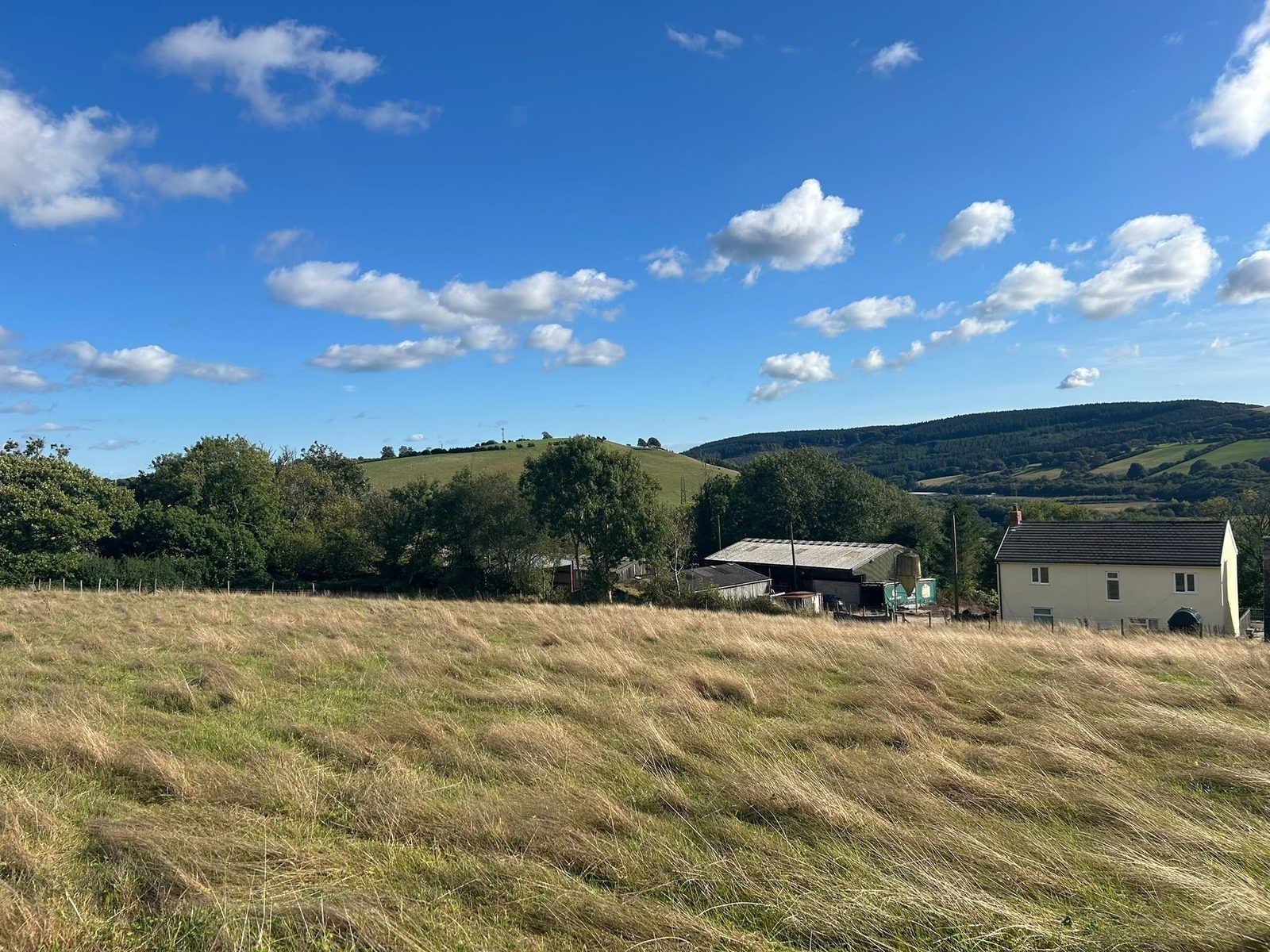 Coedely, Tonyrefail