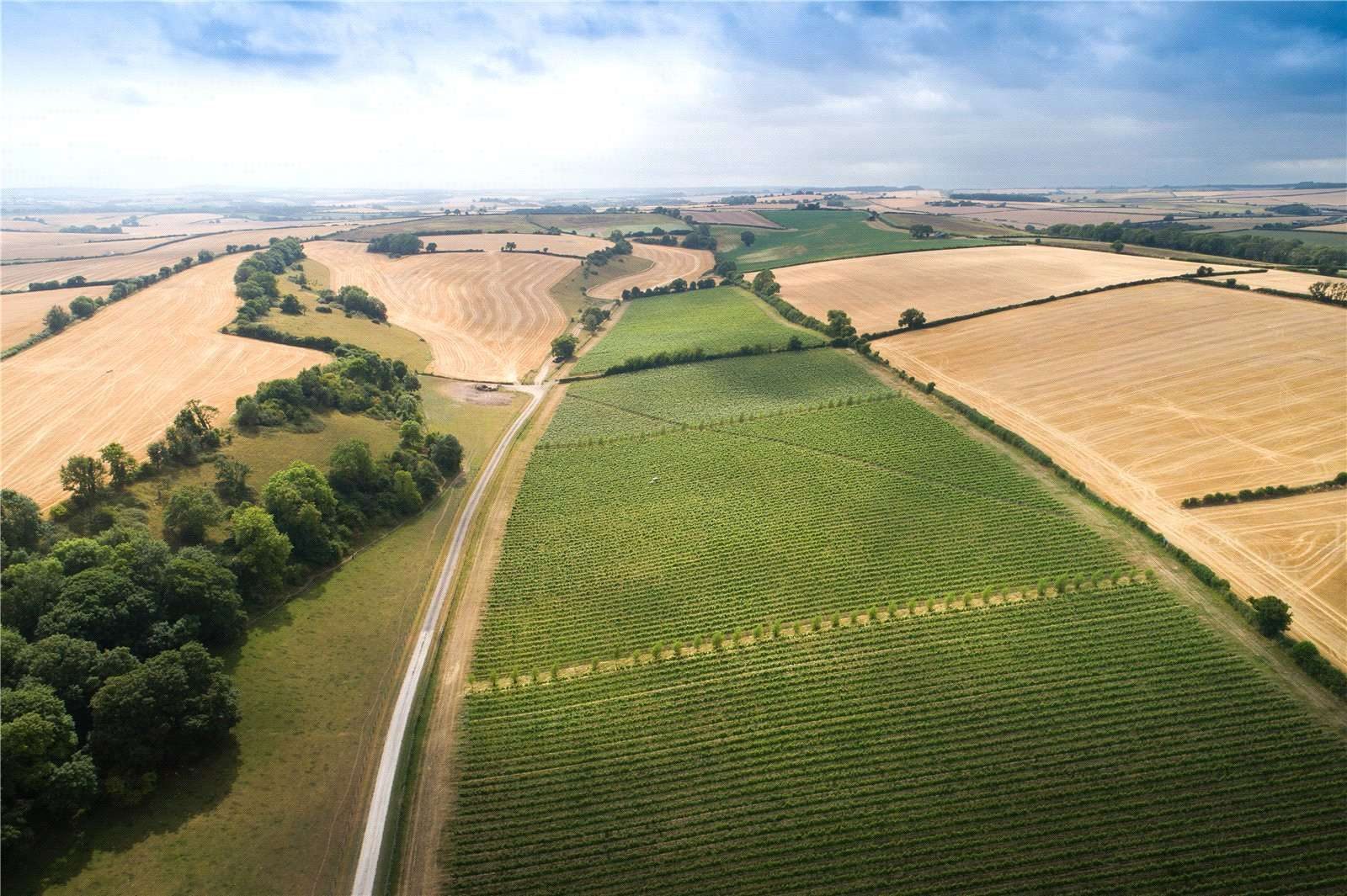 Piddlehinton, Dorchester, Dorset
