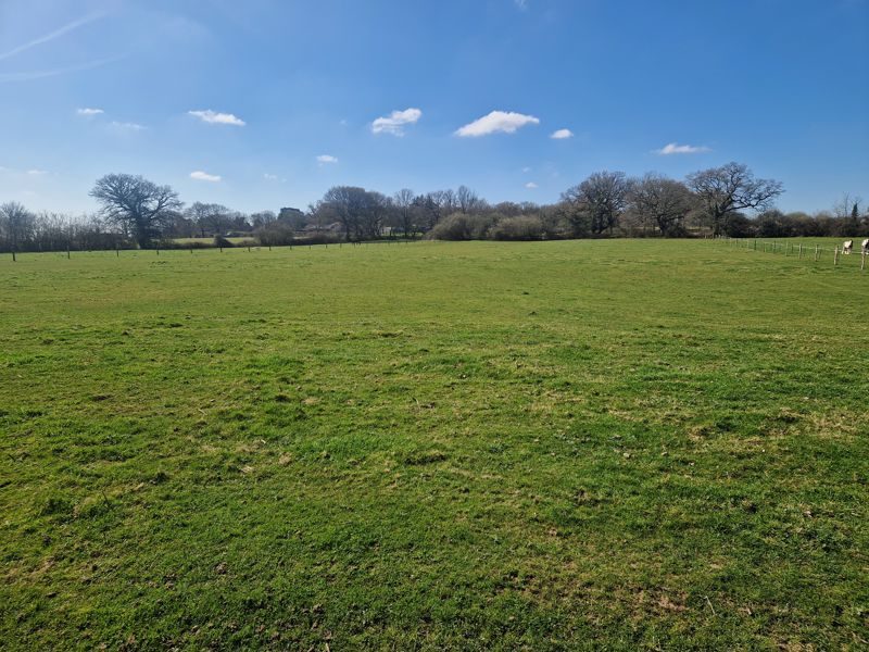 Land with paddocks in nr. Pulborough