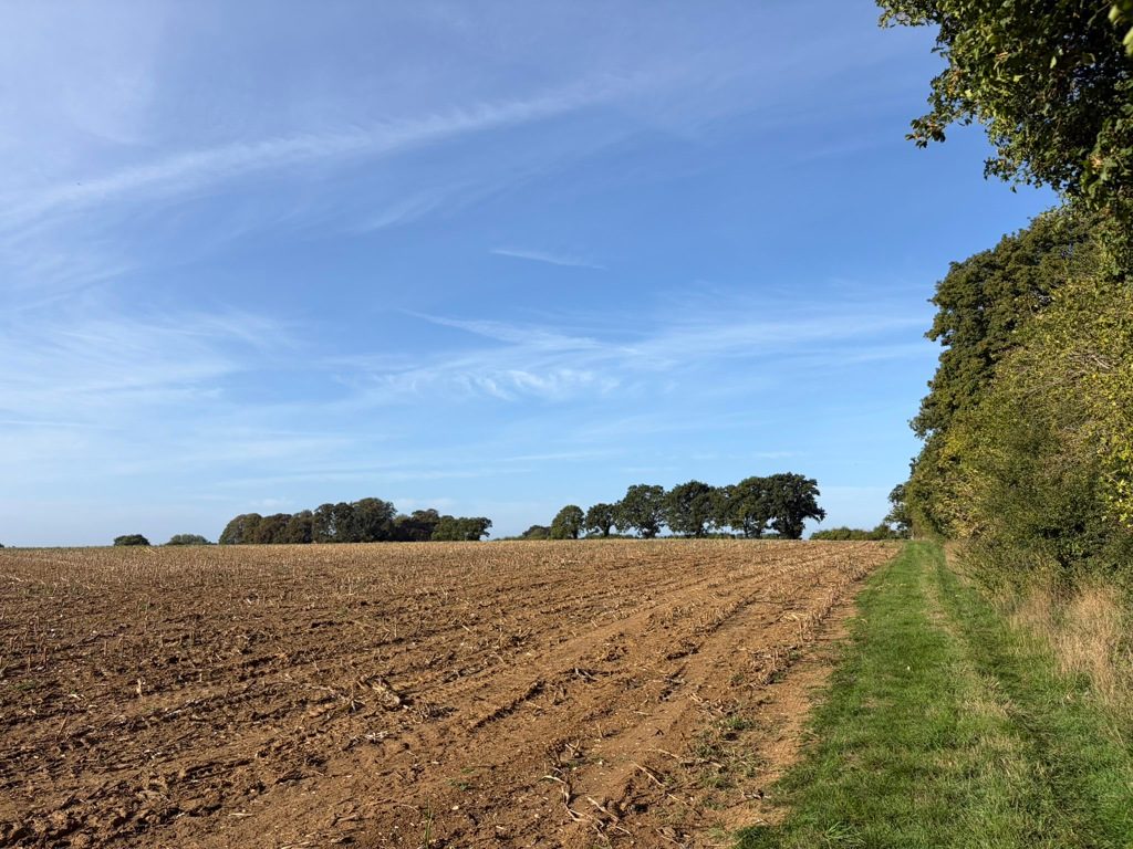 Lot Four - Arable Land, Approximately 16.60 Hectares (41.02 Acres)