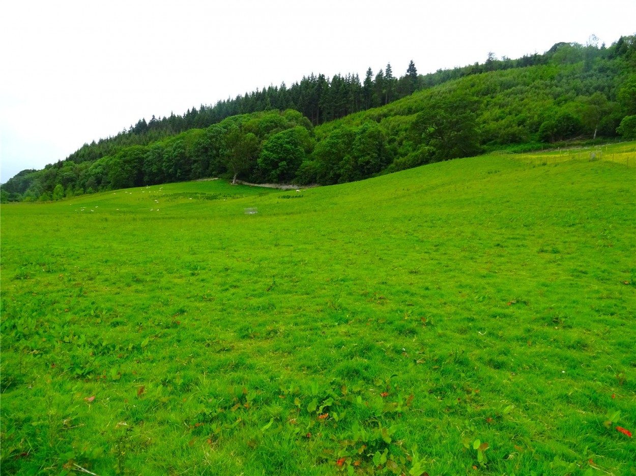 Land Formerly Part of Neuaddllwyd, Llandinam, Powys
