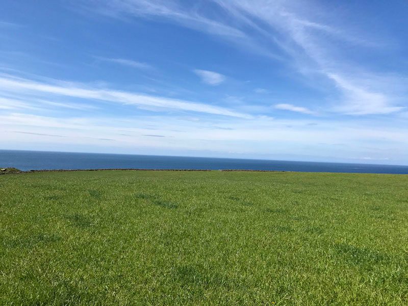 Land At Muldaddie