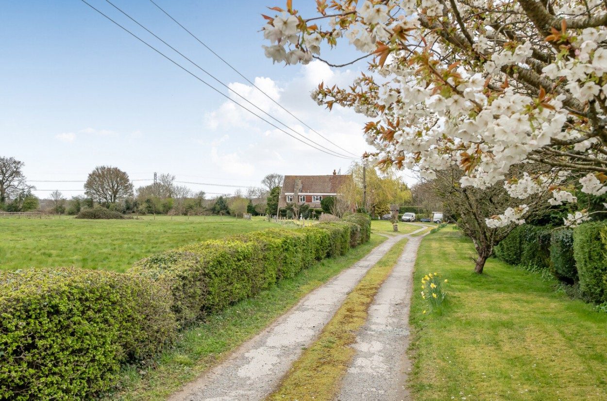 Chain free detached house in Orpington