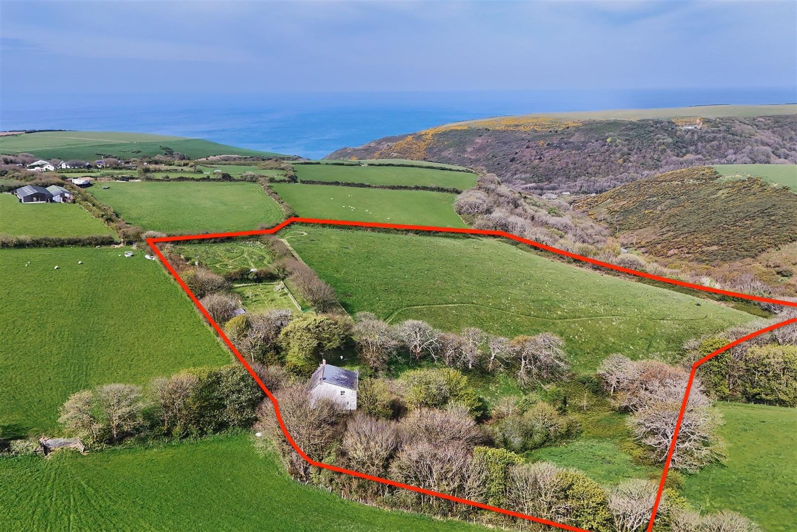 Period smallholding, Bideford