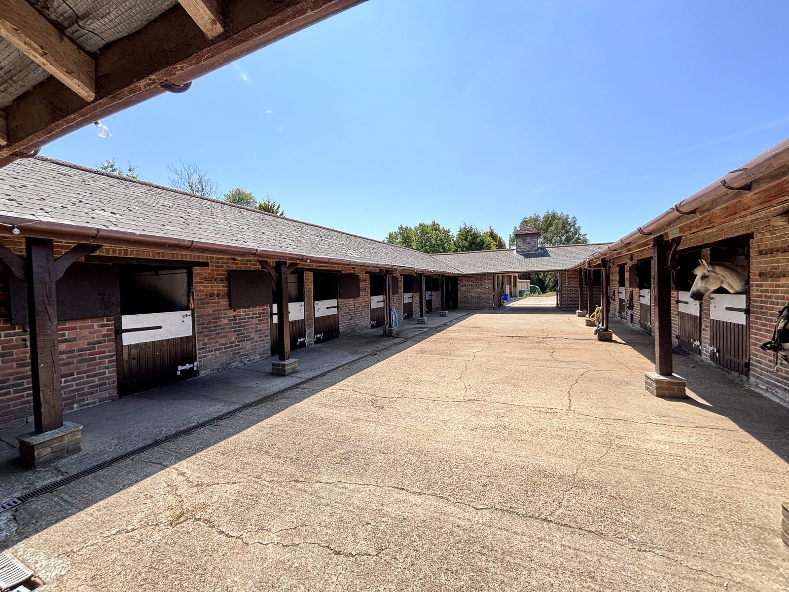 Whydown Road, Grey Stud Farm Whydown Road, TN39