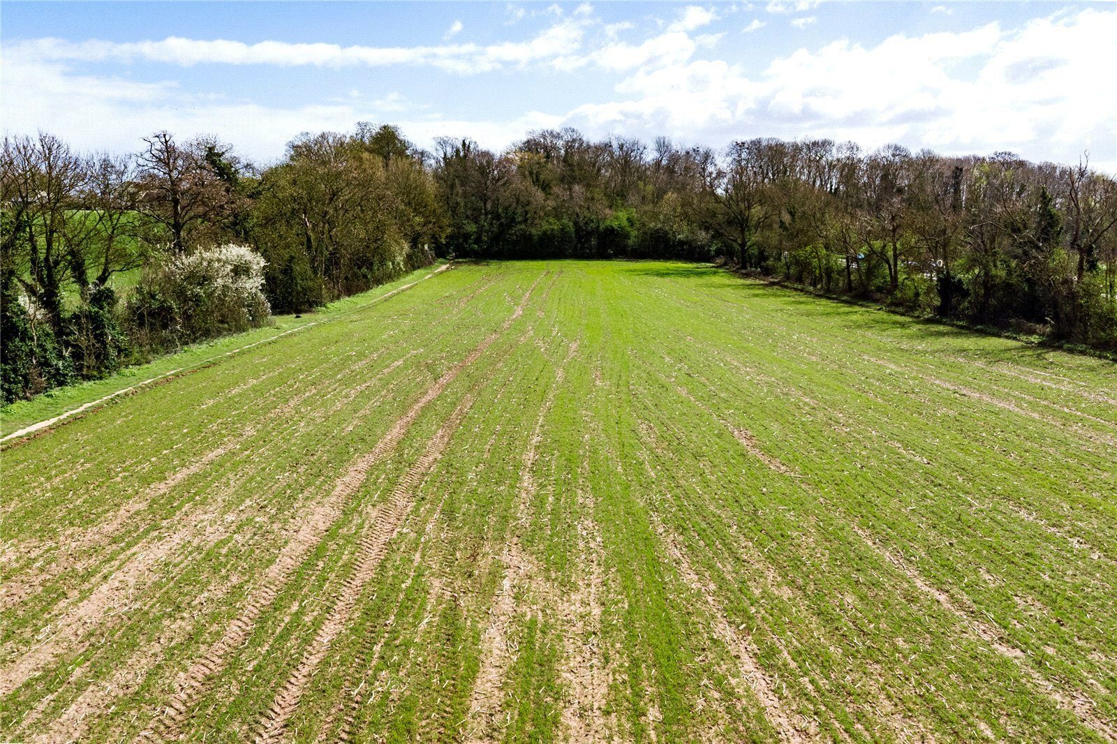 Equestrian, East Bridgford