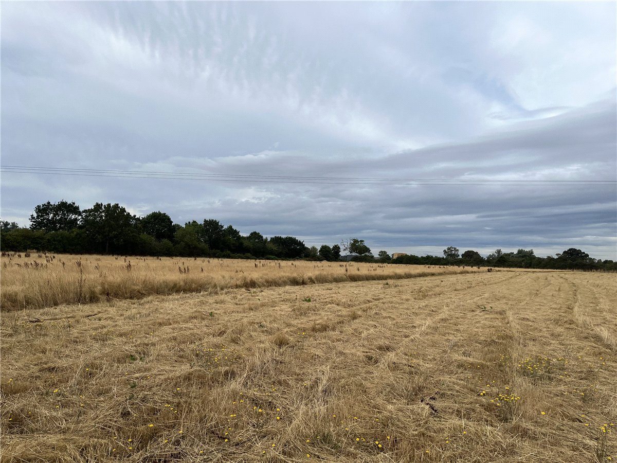 Land to let in Austrey