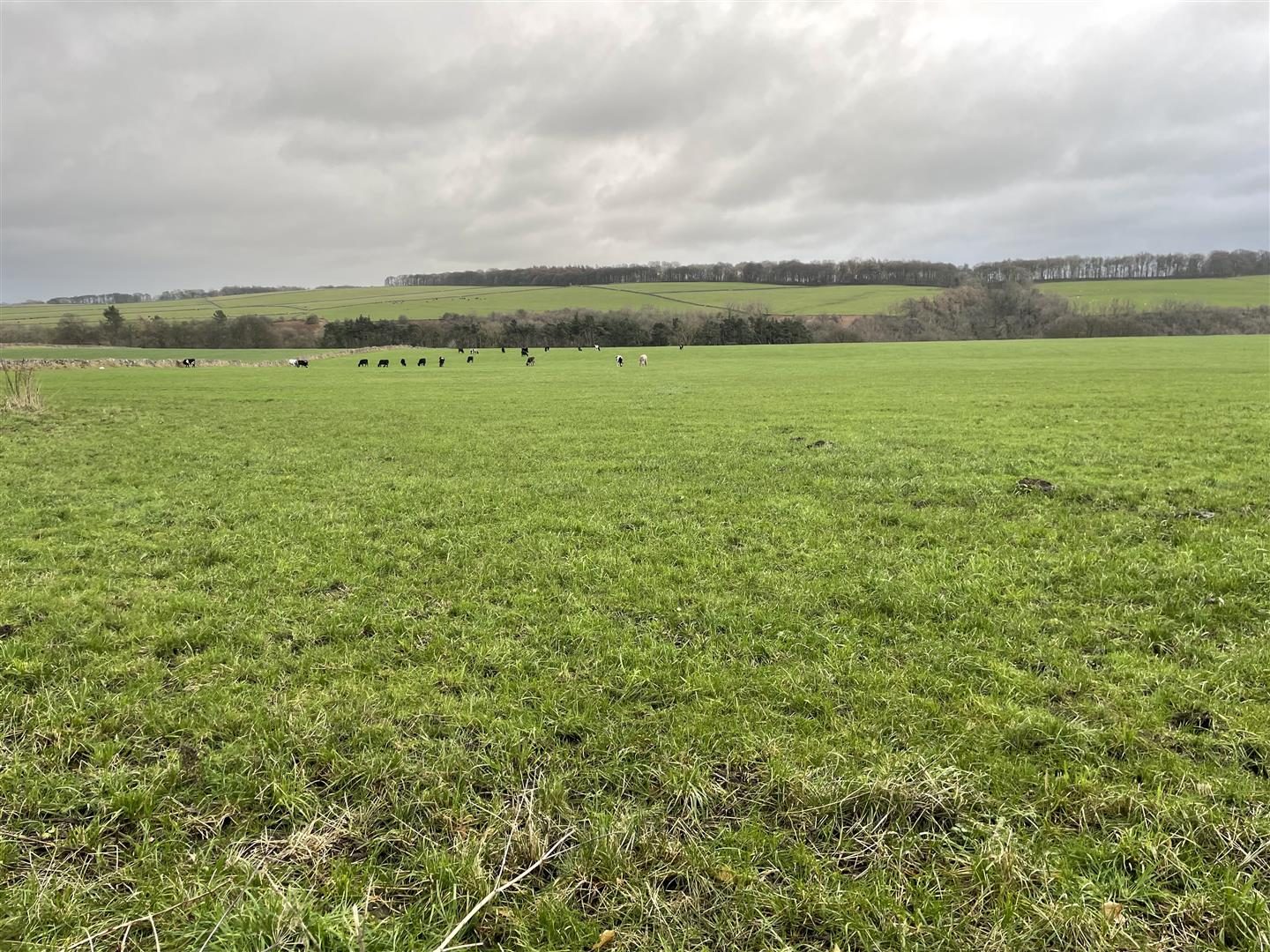 Lot 1 Land at Over Haddon, Monyash Road, Bakewell, DE45 1HZ