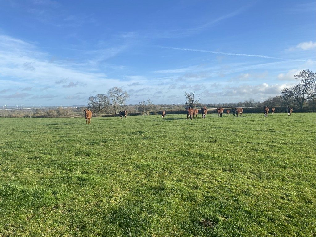 Lot 1 - Pastureland Off The Ridgeway, Barby