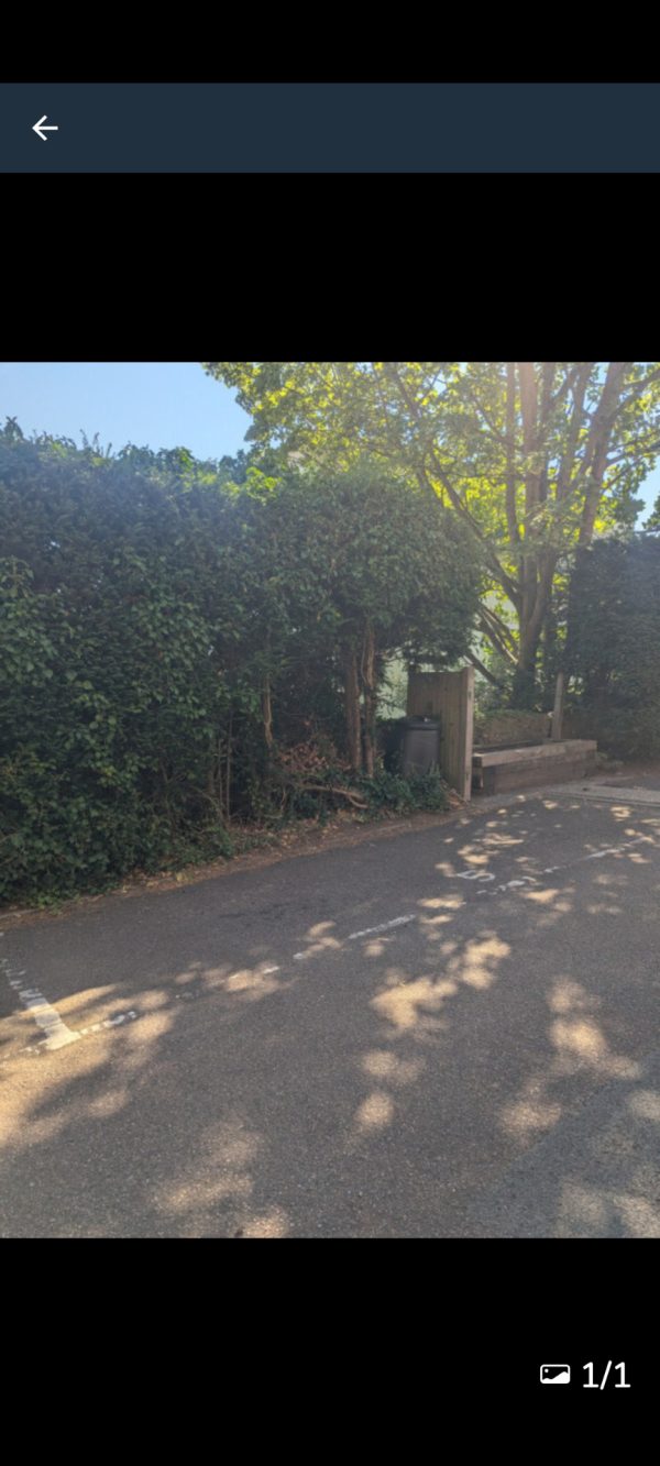Parking on South Road Mews, BN1