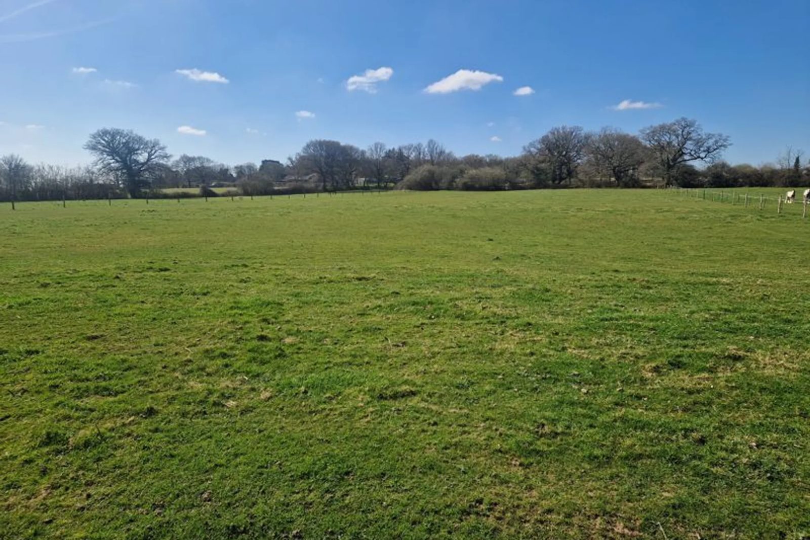 Farm with paddocks in nr. Pulborough