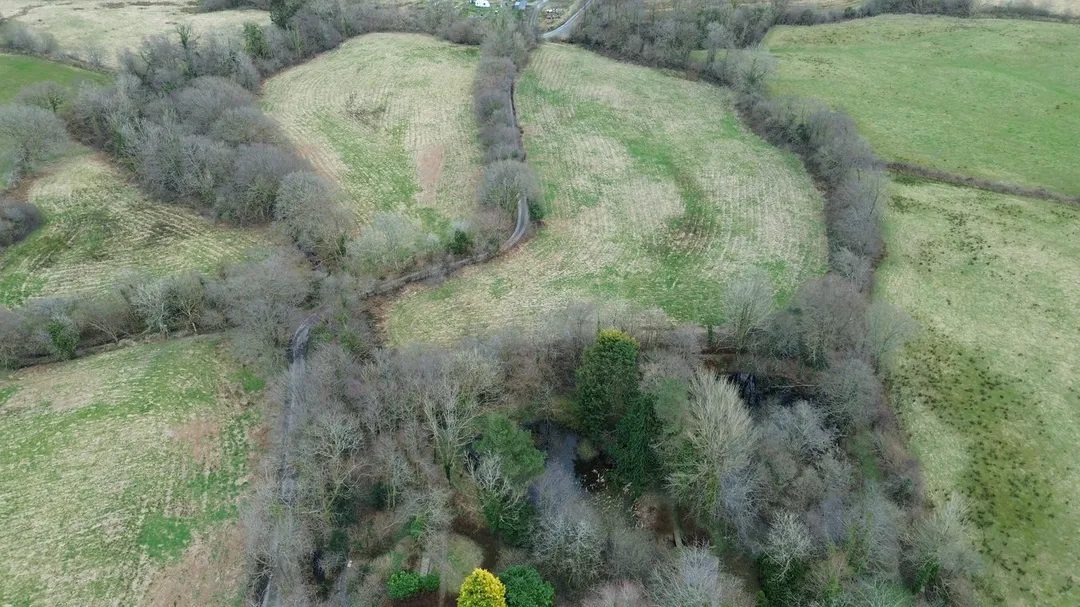Lampeter: land with paddocks