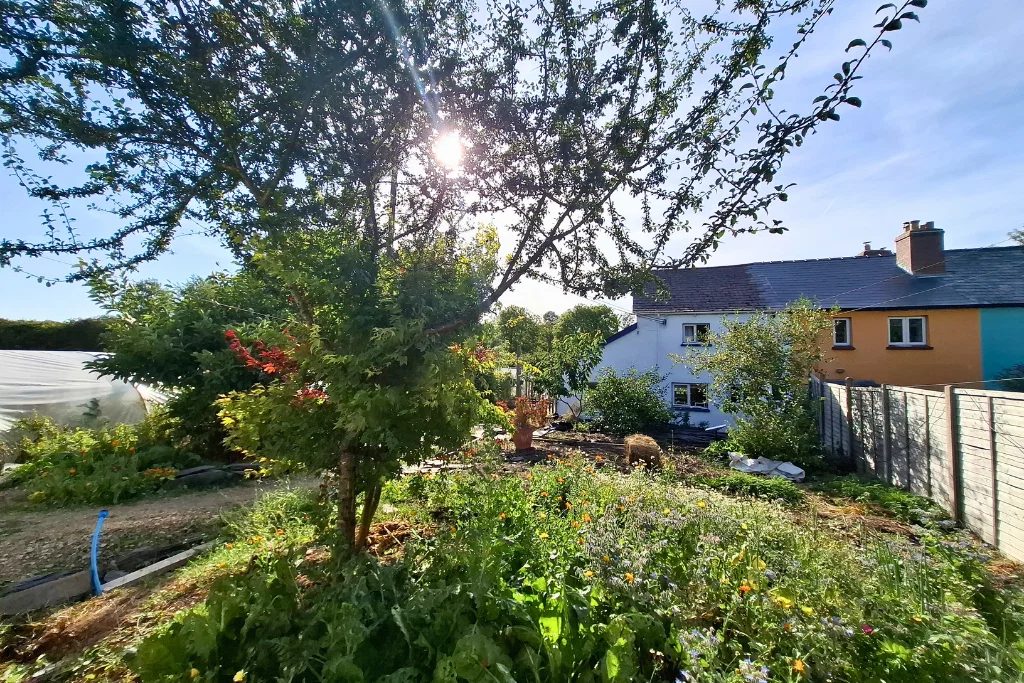 Brick Row, Llanfyrnach, SA35